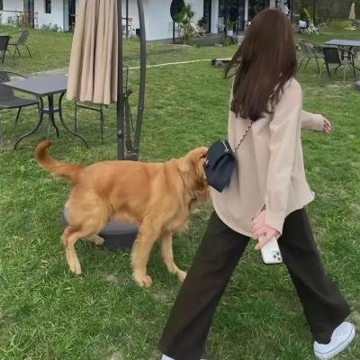 生死相随